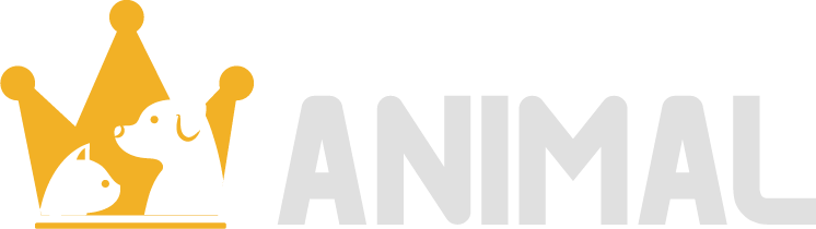 Featured image of post Reino Animal Logo - (85)98119.1758 / 98622.8617 / 98912.1313.