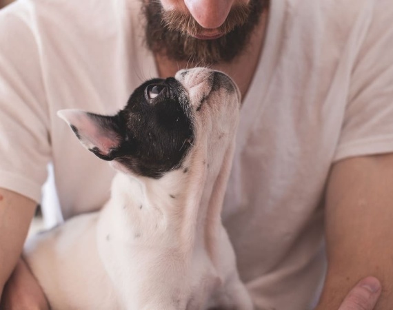 despedida digna a mi mascota